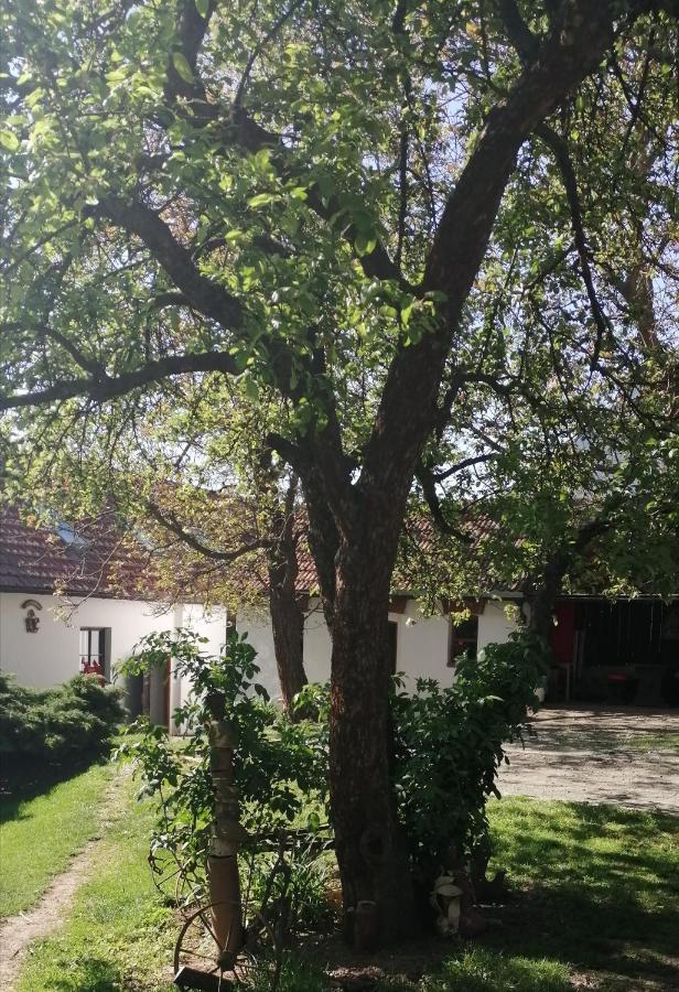Keramicky A Vytvarny Atelier Konesin Bagian luar foto