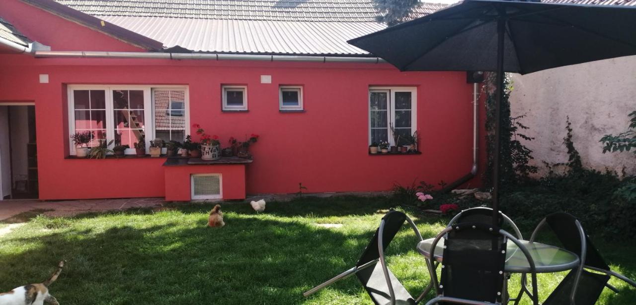 Keramicky A Vytvarny Atelier Konesin Bagian luar foto
